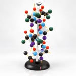 Protein Structure Model